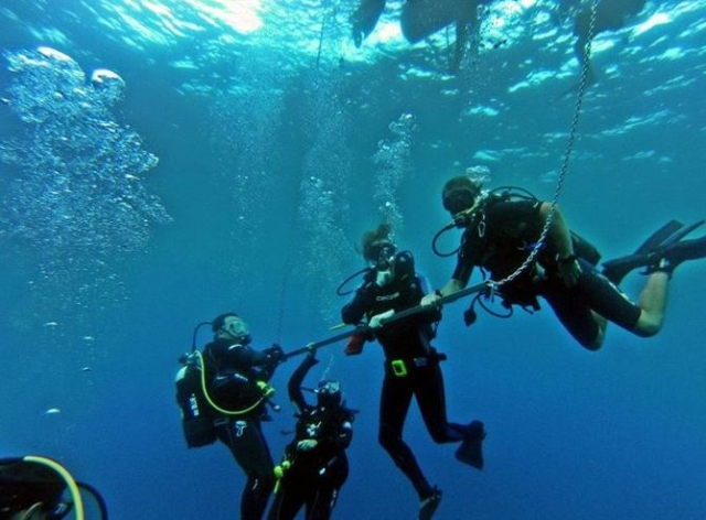  Führen Sie Ihren Tauchgang 